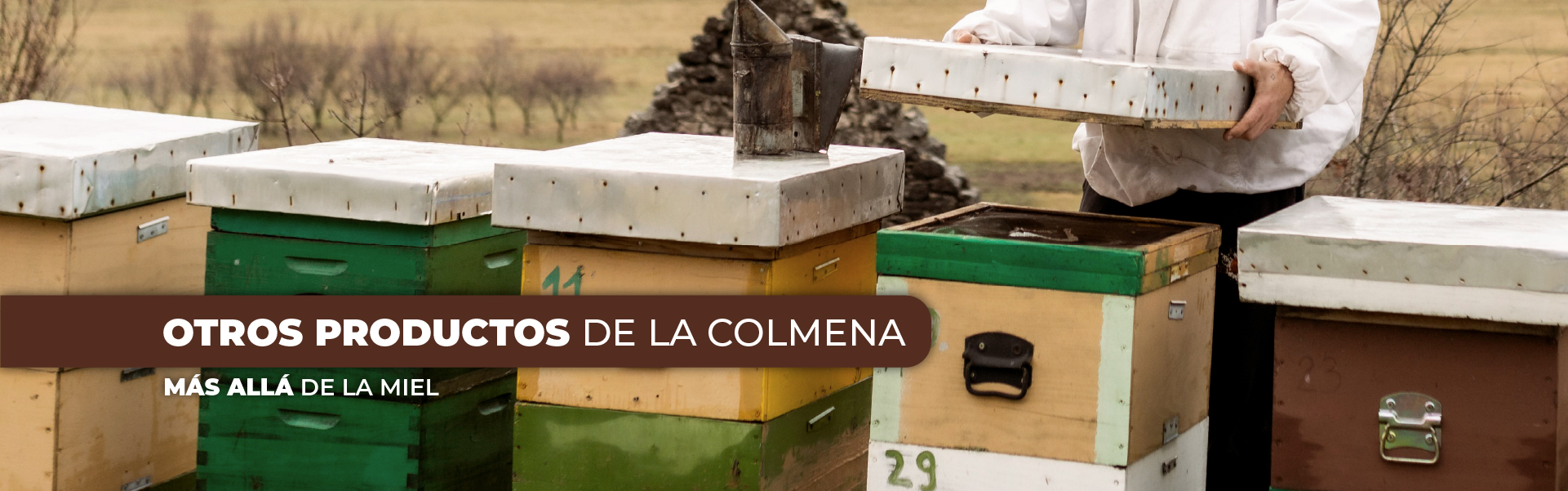 Otros productos de la colmena