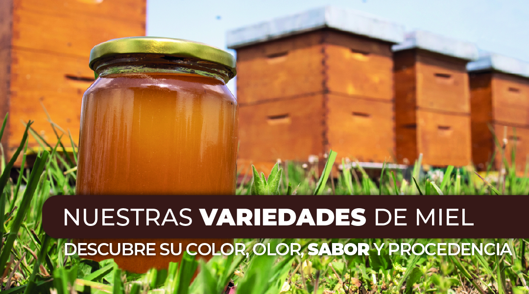 Descubre nuestros productos